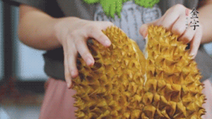 榴蓮剝好肉后，搗成泥狀。