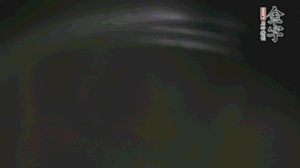 剝?nèi)ネ鈿さ墓S、切花刀的香菇、豌豆入沸水焯水。