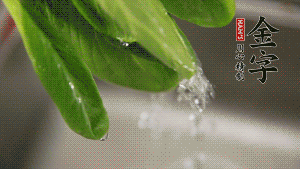 燒一鍋開水，滴一點(diǎn)油，水開后汆燙青菜至斷生即可。