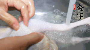 土雞處理干凈。（如果買不到土雞，一般的雞也是可以的，不過(guò)需要汆水。溫水下鍋汆燙7分鐘左右，汆燙時(shí)需要適時(shí)翻動(dòng)。汆燙雞肉是為了去掉生腥味，也是一次徹底清潔的過(guò)程，可以使燉出的湯清爽而不渾濁，鮮香而無(wú)異味）