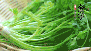 挑選鮮嫩的香菜，洗干凈后，處理成小段。