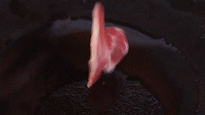 鍋中倒入橄欖油燒熱，放入淡火腿小火煸炒至打卷狀態(tài)。