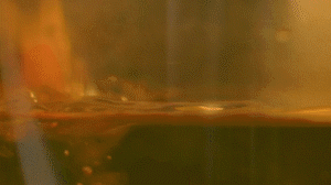 雞肉、鹽、料酒入冷水鍋水開后撇去浮沫，溫水洗凈。