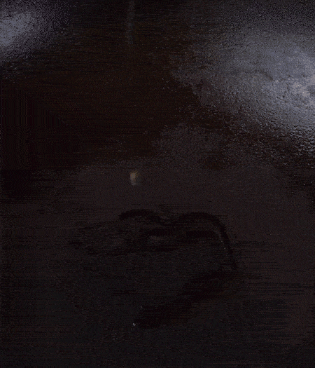 冷鍋熱油，下蒜片爆香，下香腸、玉米筍、蓮藕、西芹爆炒，期間加點水，翻炒1分鐘后加新鮮百合片，翻炒30秒。