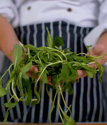 馬蘭頭焯水，切成細末。