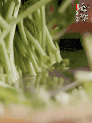 新鮮豌豆苗割下洗凈。